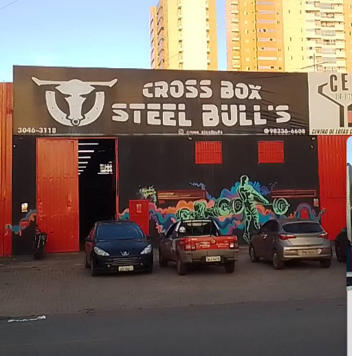 Box Steel Bull’s